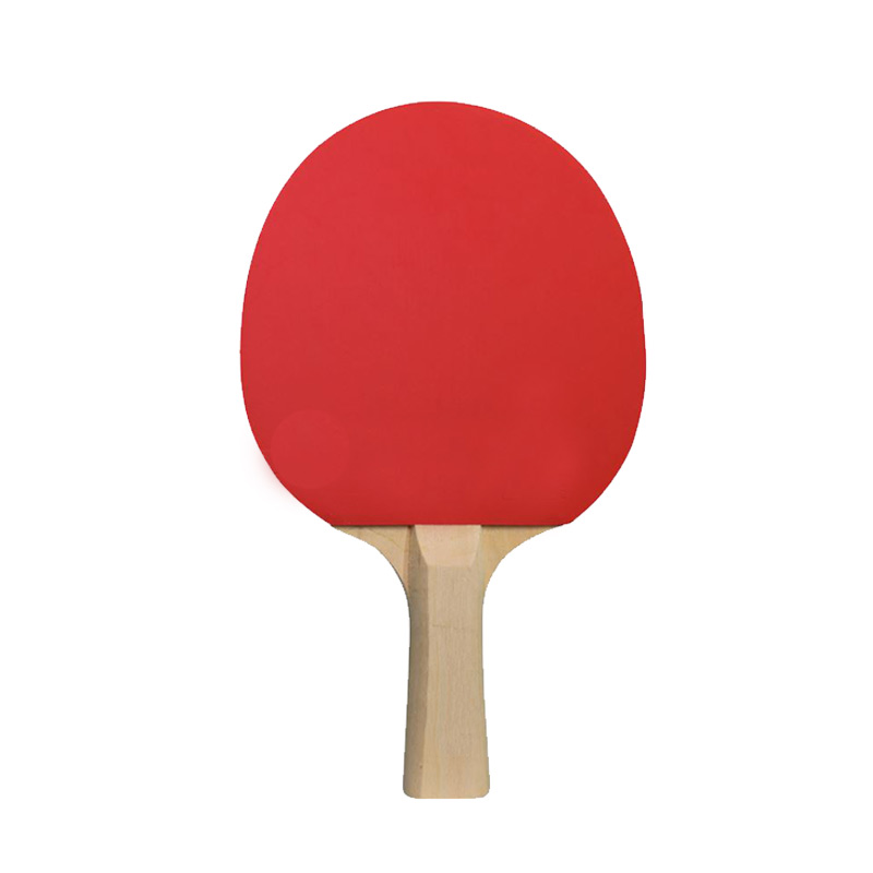 Jeu de tennis de table avec filet Ping Pong – Image 3
